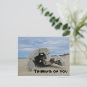 Denkend Aan Jou Stille Oceaanstrand Drijfhout Briefkaart