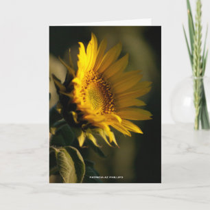 Denkend Aan Jou Zonnebloem Licht FotoSjabloon Kaart