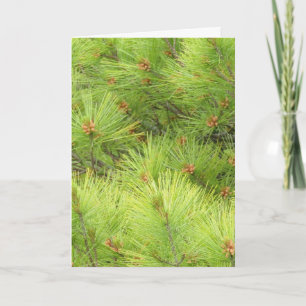 Denkerstkaart Kaart