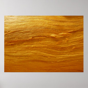 Dennen hout I namaak houtstructuur Poster