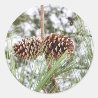 dennenappel stickers