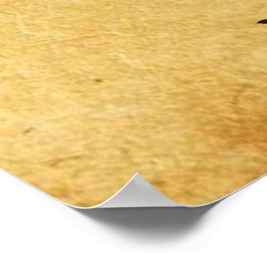 dennenappel-uil poster (Hoek)