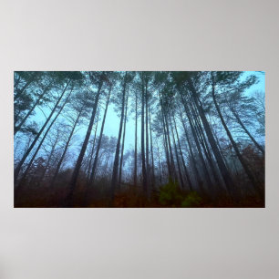 Dennenbomen in de Mist Poster