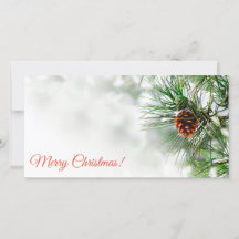 Dennenboom bedekt met sneeuw