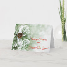 Dennenboom bedekt met sneeuw