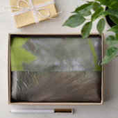 dennenboom eekhoorn tissuepapier (Geschenk)