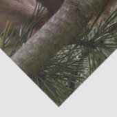 dennenboom eekhoorn tissuepapier (Detail)