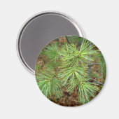 dennenboommagneet magneet (Voorkant / Achterkant)