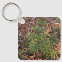 Dennenboompje Sleutelhanger Natuur-Inspiratie Cade