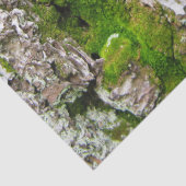 dennenboomschors met mos-tissuepapier tissuepapier (Detail)