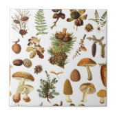  dennenbos schatten naadloos patroon tegeltje (Voorkant)