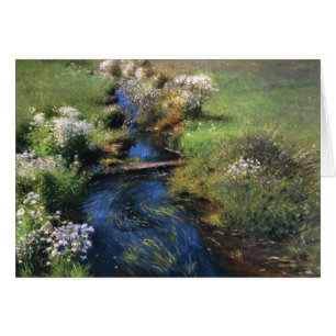 Dennis Miller Bunker's Wild Asters