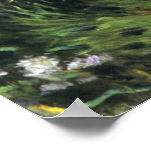 Dennis Miller Bunker's Wilde Asters Poster (Hoek)