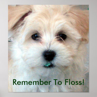 Dental Hygiene Floss Puppy Poster