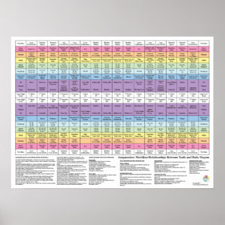 Dental Tooth Acupunction Meridian Health Chart Poster