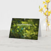 Dentelle de la reine Anne, carte (Fleur jaune)