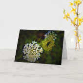 Dentelle de la reine Anne, carte (Fleur jaune)