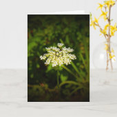 Dentelle de la reine Anne, carte (Fleur jaune)