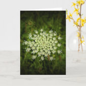 Dentelle de la reine Anne, carte (Fleur jaune)