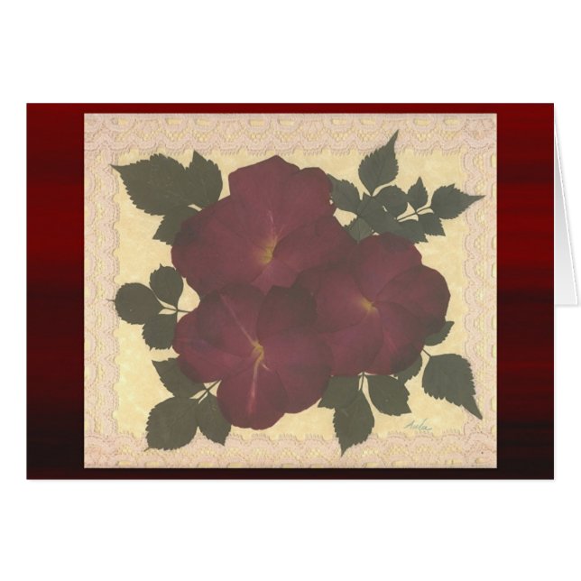 Dentelle et roses antiques (Devant horizontal)