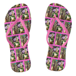 Dentelle rose Meerkat Collage, tongs