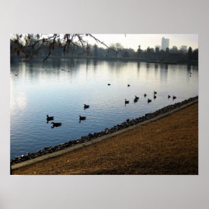 Denver City Park, Denver, Colorado Poster