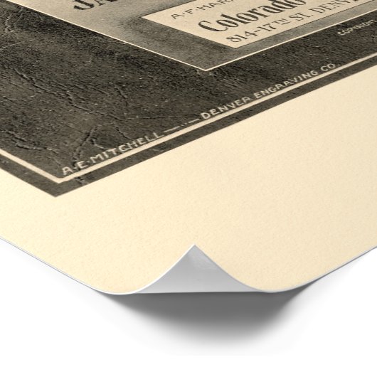 Denver, CO Panoramic Map - 1907 Poster (Hoek)