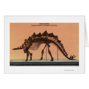 Denver, Colorado - Musée d'histoire naturelle 2