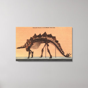 Denver, Colorado - Museum of Natural History Canvas Afdruk