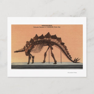 Denver, Colorado - Museum voor Natuurgeschiedenis Briefkaart