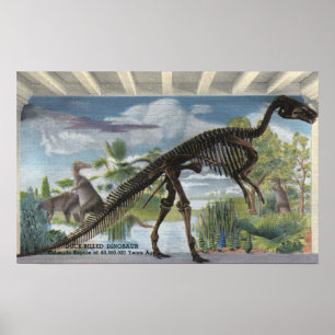 Denver, Colorado - Museum voor Natuurgeschiedenis Poster