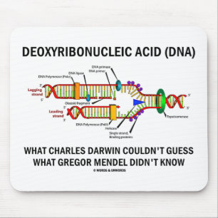 Deoxyribonucelinezuur (DNA) Mendel Darwin Muismat