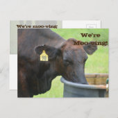 Déplacement/Nouveau Faire-part d'adresse (Devant / Derrière)