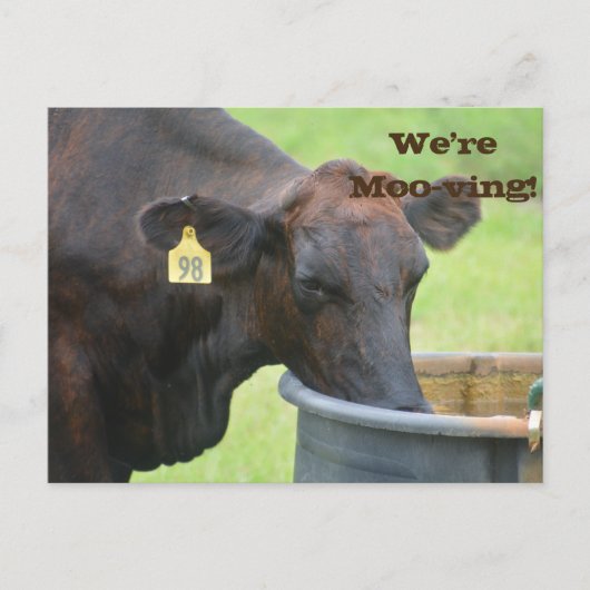 Déplacement/Nouveau Faire-part d'adresse (Devant)