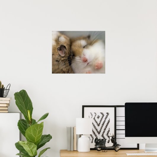 Déplacer sur Bob Poster (Bureau à domicile)