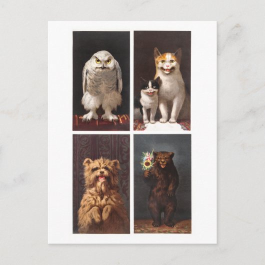 Déplaisant Animaux victoriens Carte postale Vintag (Devant)