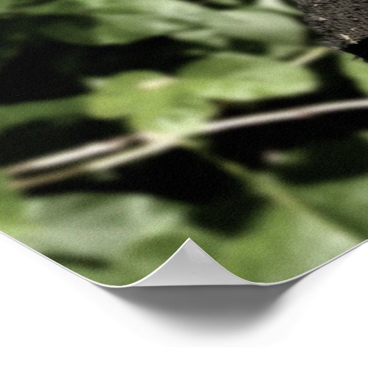 Déploré : Poster de la levure du jour 419 (Coin)