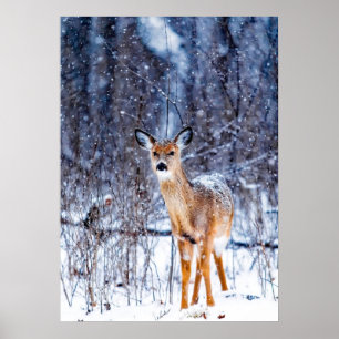 Der in de sneeuw, winterlandschap poster