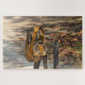 Der Indische Tiger  Legpuzzel (Horizontaal)
