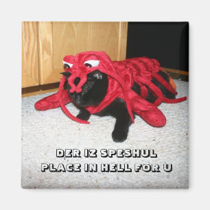 DER IZ SPESHUIS PLAATS IN HULL VOOR U MAGNEET