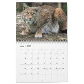 Der Luchs Kalender (Mar 2027)