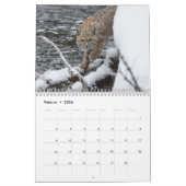 Der Luchs Kalender (Feb 2026)