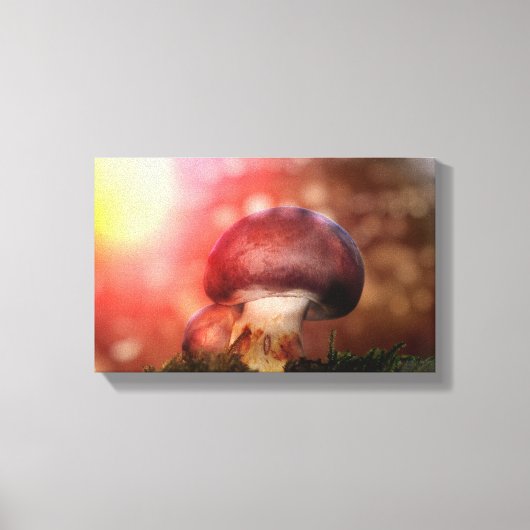 Der Pilz Canvas Afdruk (Voorkant)