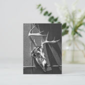 Der Skull en Antlers in Black en White Briefkaart (Staand voorkant)