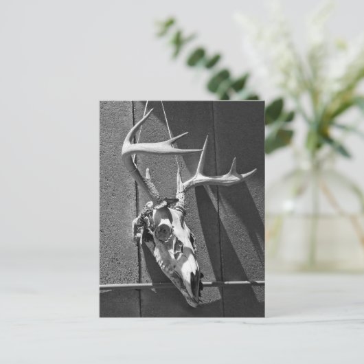 Der Skull en Antlers in Black en White Briefkaart (Staand voorkant)