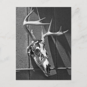 Der Skull en Antlers in Black en White Briefkaart