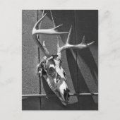 Der Skull en Antlers in Black en White Briefkaart (Voorkant)