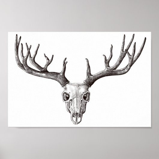 der Sull/Antlers Poster (Voorkant)
