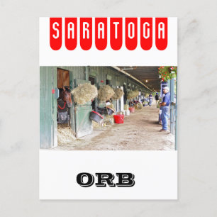 Derby winnares "Orb" als 2 jaar. oud Briefkaart