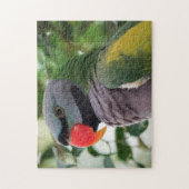 Derbyan Parakeet Jigsaw Puzzle (Vertical)